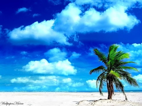 Nature Wallpapers - Обои Природы (84 штуки) Nature Wallpapers - Обои Природы (84 штуки)