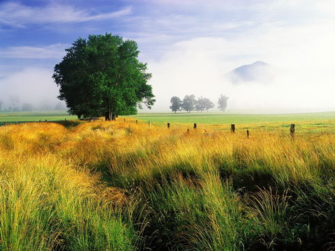 Nature Wallpapers - Обои Природы (84 штуки) Nature Wallpapers - Обои Природы (84 штуки)