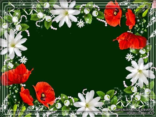 Рамка для фото –  Белые цветы и красные маки