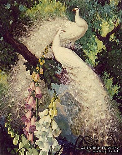 Живопись. Jessie Arms Botke (1883-1971)