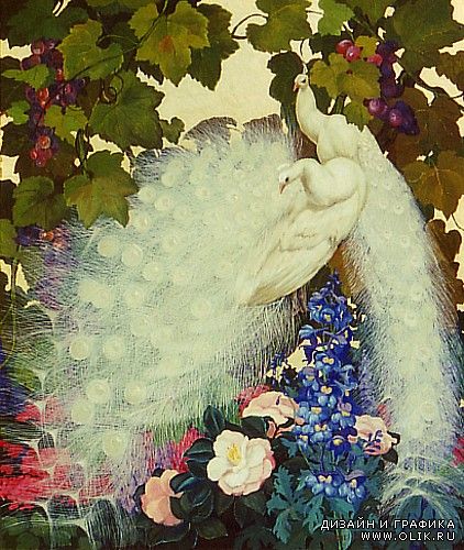 Живопись. Jessie Arms Botke (1883-1971)