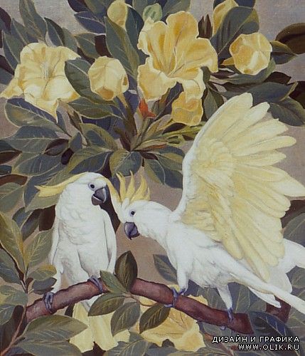 Живопись. Jessie Arms Botke (1883-1971)