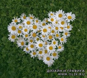 Сердечки и сердца в цветах | Hearts in flowerses