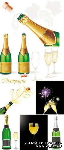 Champagne Vector