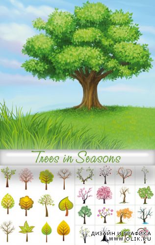 Trees in Seasons