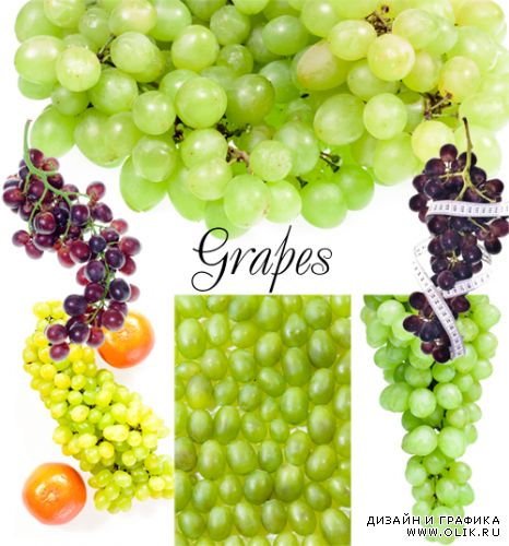 Grapes | Виноград