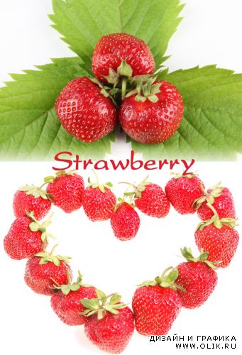 Strawberry | Клубника