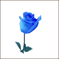 анимированные GIF Розы
