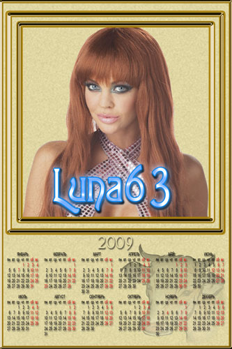 Золотая рамка-календарь 2009