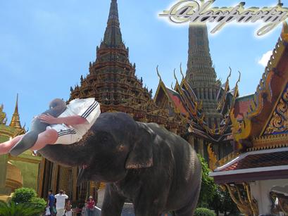 Мужчина на слоне