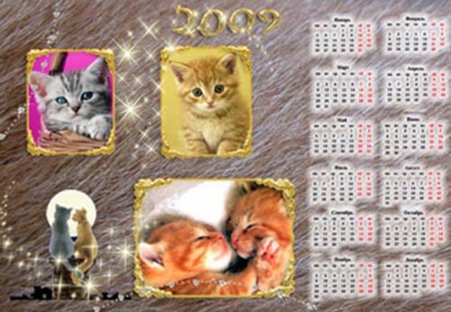 Календарь на 2009 год с котиками