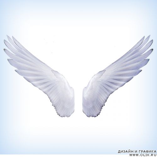 Клипарт - Angel Wings