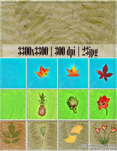 Botanical Botanical