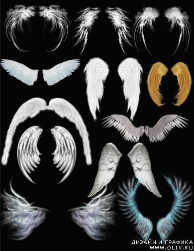 Крылья ангелов - Angel wings