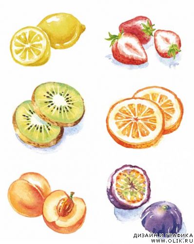 Илюстрации - овощи и фрукты