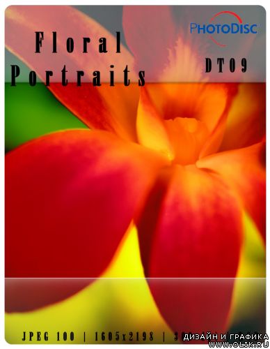 Floral Portraits
