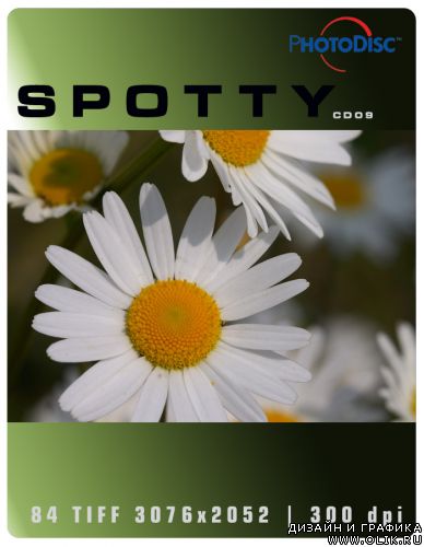Spotty. CD Spotty Standard