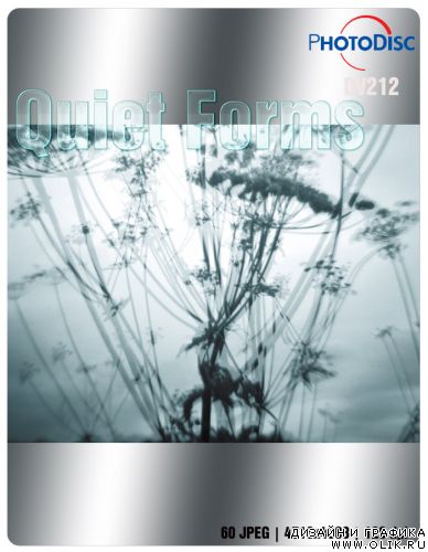 Quiet Forms