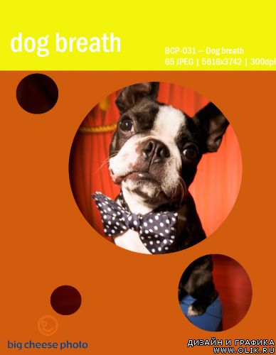 Dog breath