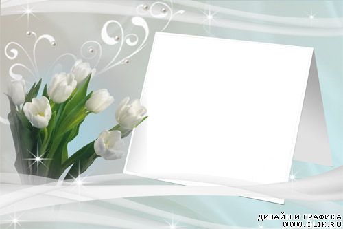Фоторамка Белые тюльпаны