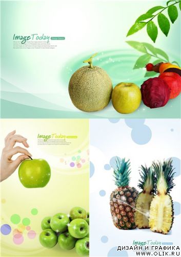 fruit's PSd template