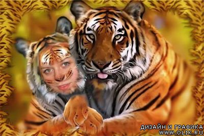 Шаблон для фотошопа: тигр&тигрица