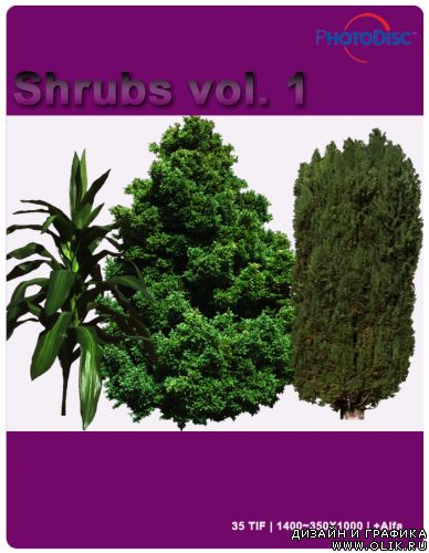 Shrubs vol. 1