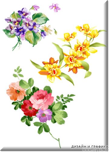 PSD - Цветы 6 PSD – Flowerses 6