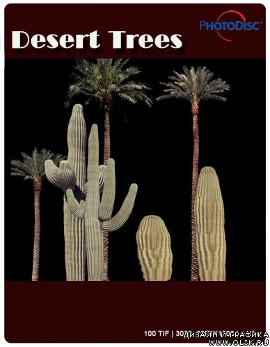 Desert Trees
