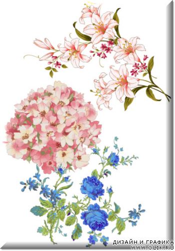 PSD  - Цветы 10 \ PSD – Flowerses 10