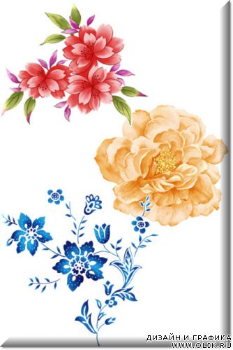 PSD  - Цветы 11 \ PSD – Flowerses 11