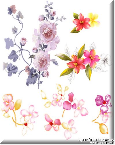 PSD  - Цветы 12 \ PSD – Flowerses 12