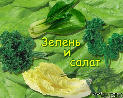 Зелень и салат