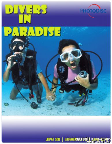 Divers In Paradise