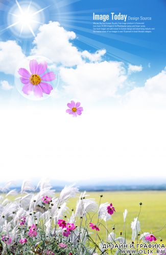 (2009)Nice - Psd Template(6) (2009)Nice - Psd Template(6)