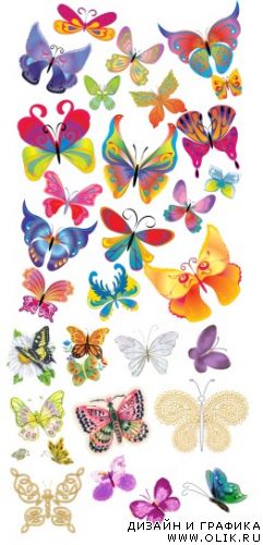 Всевозможные бабочки