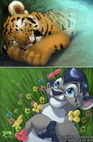 Творчество Katanimate