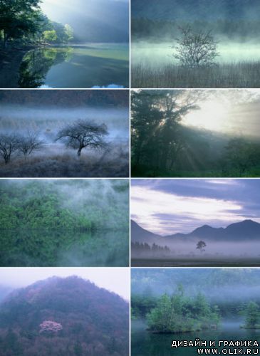 Пейзажи с туманом Landscapes with mist
