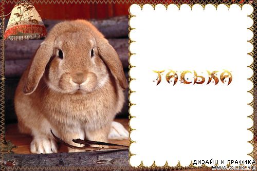 Фоторамка -  Кролик