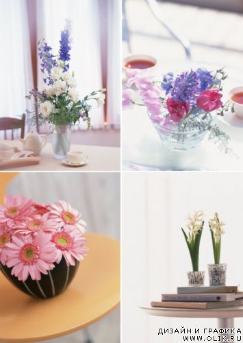 Клипарт – Цветы в интерьере Klipart – Flowerses in interior