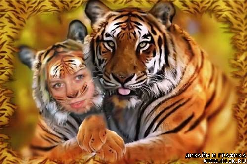 Шаблон для фотошопа - Тигры