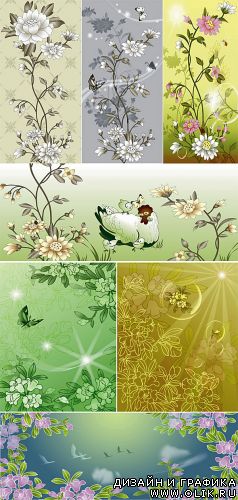 Vector flower illustrations
