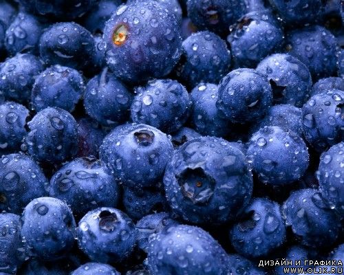 Wallpapers Diverse Pack #16