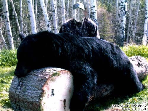 Шаблон для фотошопа - Охотник с медведем