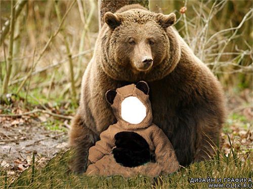 Шаблон для PHSP - Медведь и малыш