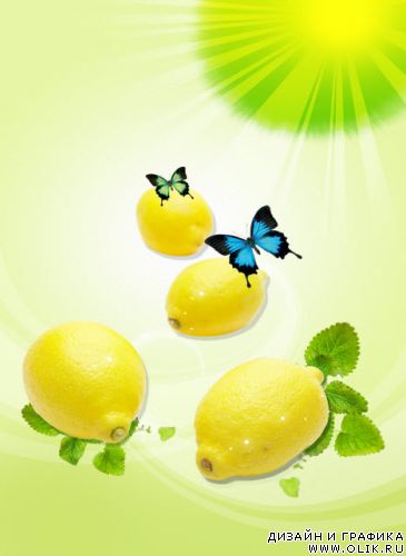 Лимоны Lemons