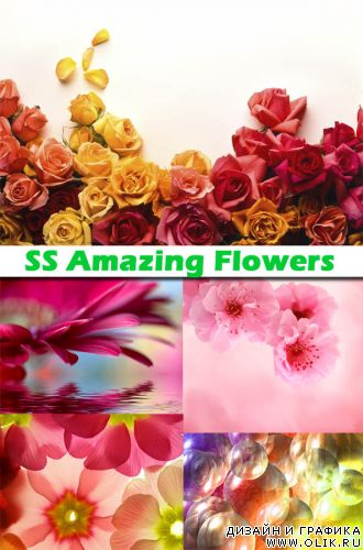 SS amazing Flowers
