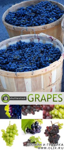 Amazing SS - Grapes | Виноград
