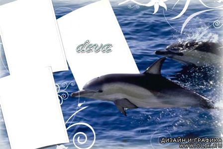 Рамка для фотошопа "На море с Дельфинами"