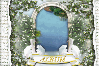 Wedding Album